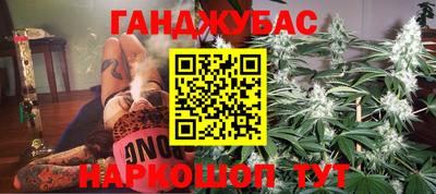 крисы Сланцы
