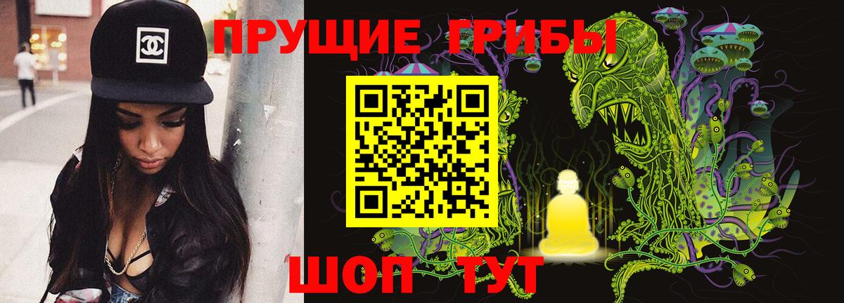 Галлюциногенные грибы Cubensis Армавир